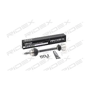 13D0168 RIDEX