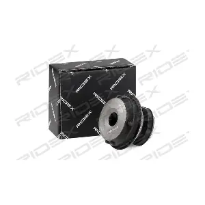 251T0163 RIDEX
