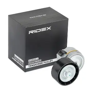 RIDEX 541V0040