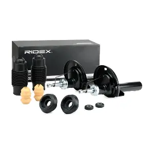 1185S0003 RIDEX