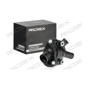 316T0323 RIDEX