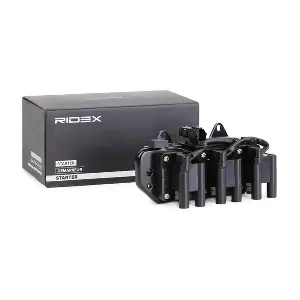 689C0195 RIDEX