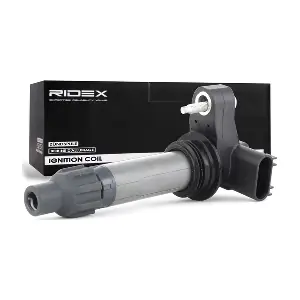 RIDEX 689C0216