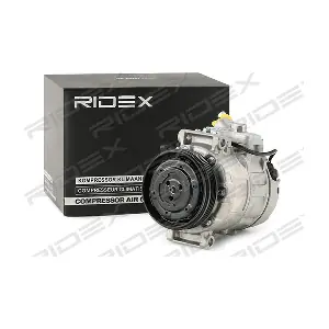 447K0349 RIDEX