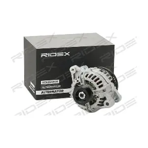 4G1187 RIDEX