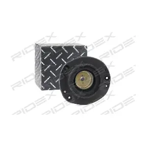 RIDEX 1180S0294