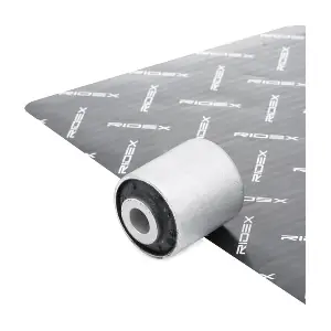 251T0066 RIDEX