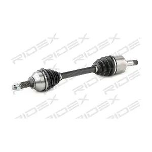 RIDEX 13D0684