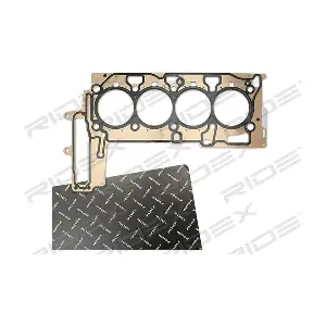 318G0250 RIDEX