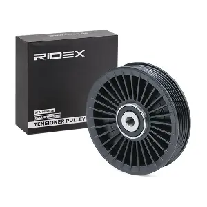 RIDEX 312D0081