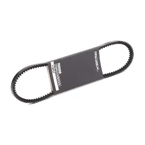 10C0017 RIDEX