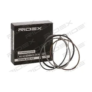 444P0025 RIDEX