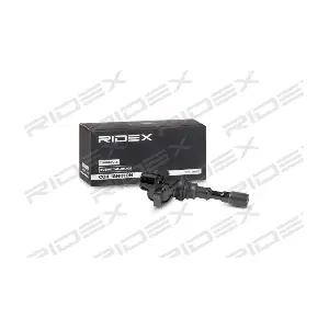 689C0317 RIDEX