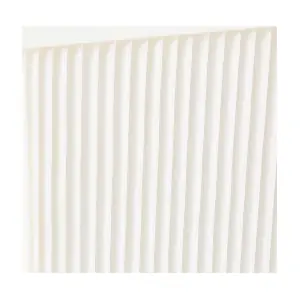 RIDEX 424I0145