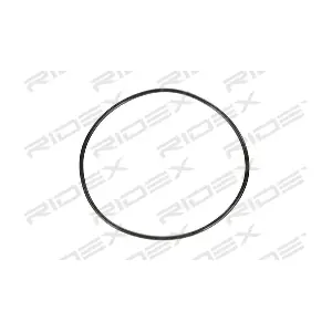 4973C0024 RIDEX