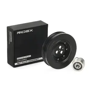 RIDEX 3213B0222