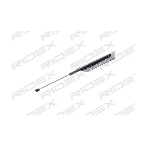 219G0808 RIDEX