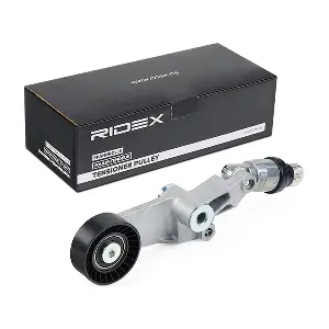 RIDEX 310T0252
