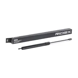 219G0661 RIDEX
