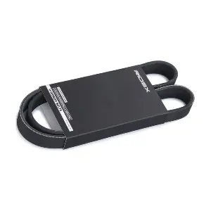 RIDEX 305P0494