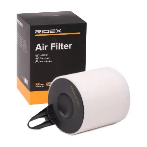 RIDEX 8A0407