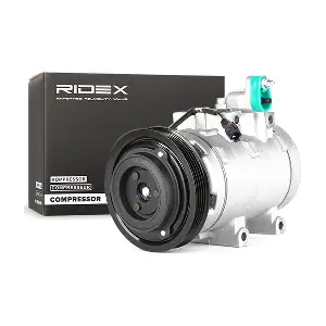 RIDEX 447K0122