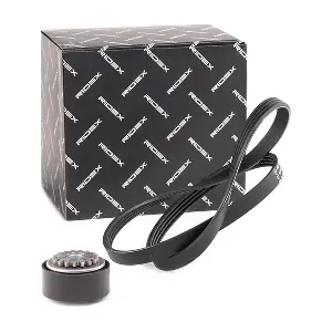 RIDEX 542R0497