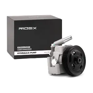 12H0078 RIDEX