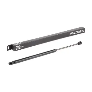 219G0913 RIDEX