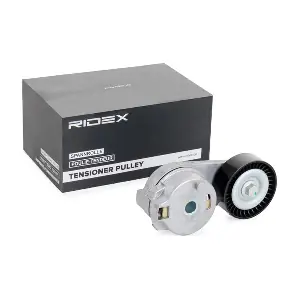 310T0405 RIDEX