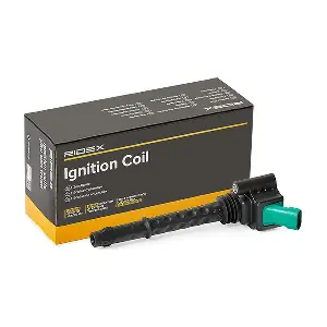 RIDEX 689C0481