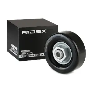 310T0321 RIDEX