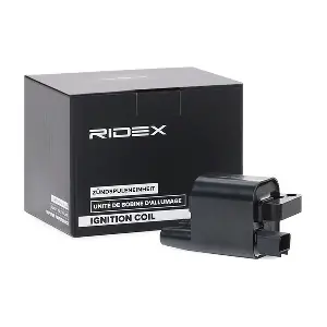 689C0321 RIDEX