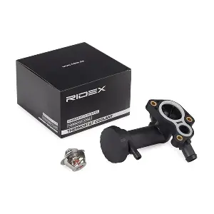 316T0293 RIDEX