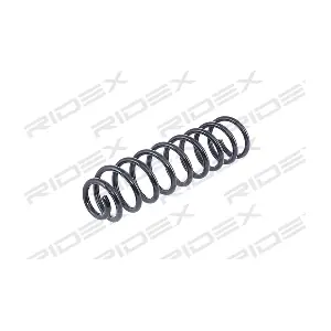 RIDEX 188C0084