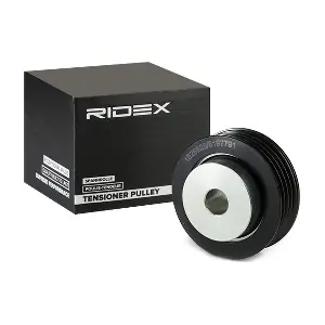 310T0094 RIDEX