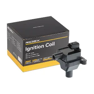 RIDEX 689C0077