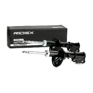 854S2012 RIDEX
