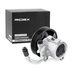 12H0089 RIDEX