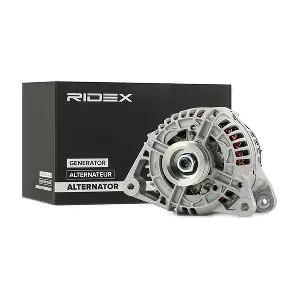 4G0731 RIDEX