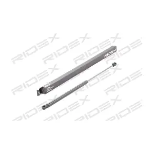 219G0455 RIDEX