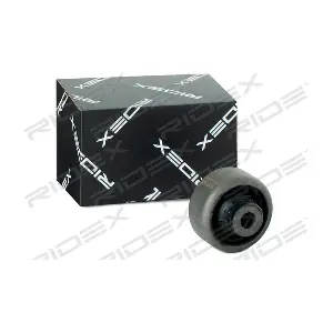 RIDEX 251T0098