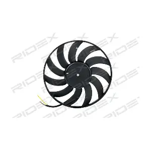 RIDEX 508R0077
