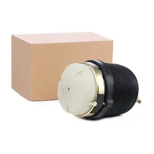 4119A0025 RIDEX