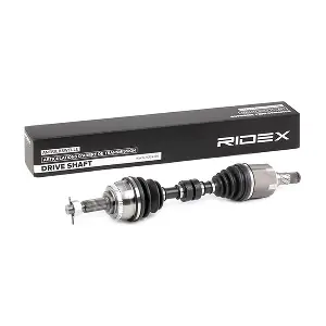 13D0324 RIDEX