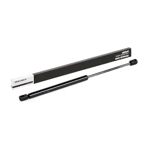 219G0018 RIDEX