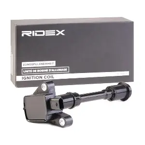 RIDEX 689C0346
