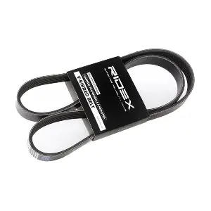 305P0060 RIDEX