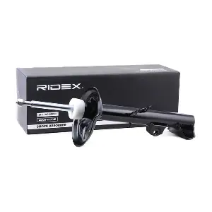 854S1698 RIDEX