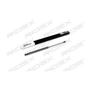 219G0253 RIDEX